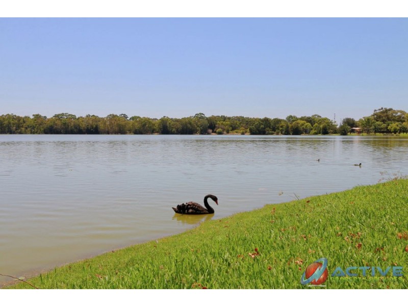 14F 47 Herdsman Parade, Wembley WA 6014