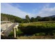 79 Upper Burringbar Road, Burringbar NSW 2483