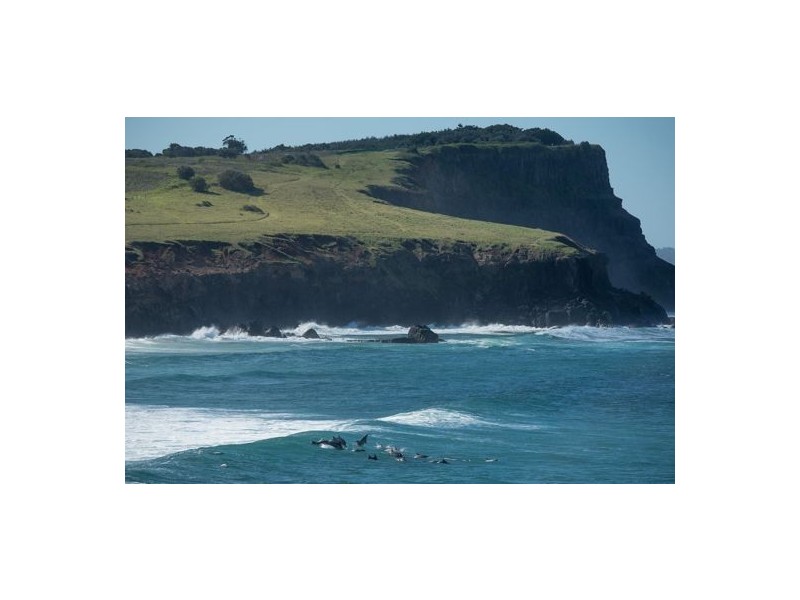 13 Palisade Way, Lennox Head NSW 2478