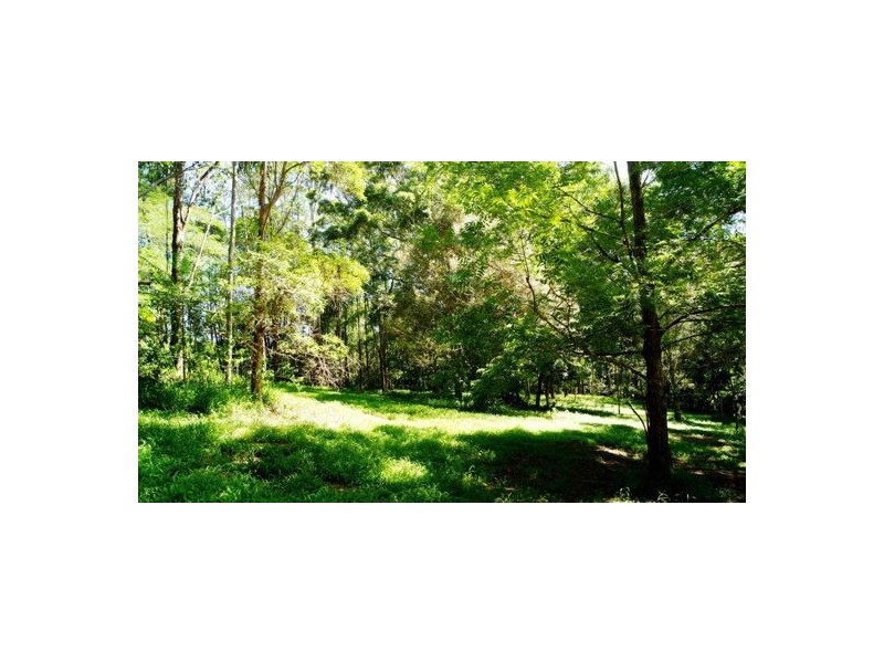 112 Coopers Creek Road, Upper Coopers Creek NSW 2482