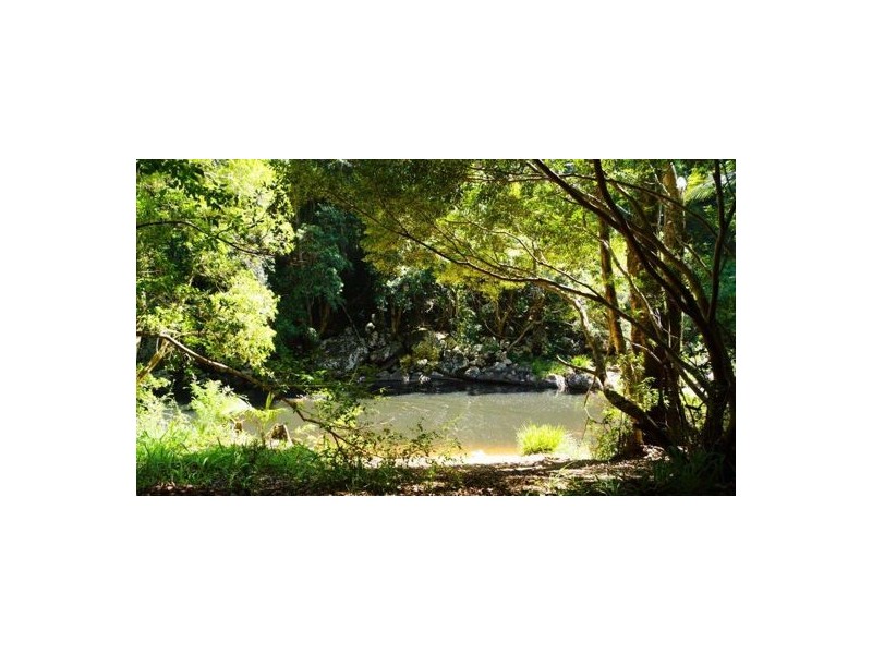 112 Coopers Creek Road, Upper Coopers Creek NSW 2482