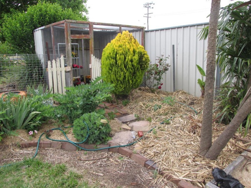 36 Victoria Street, Red Range NSW 2370