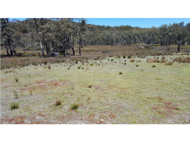 996 Mount Mitchell Road, Backwater NSW 2365