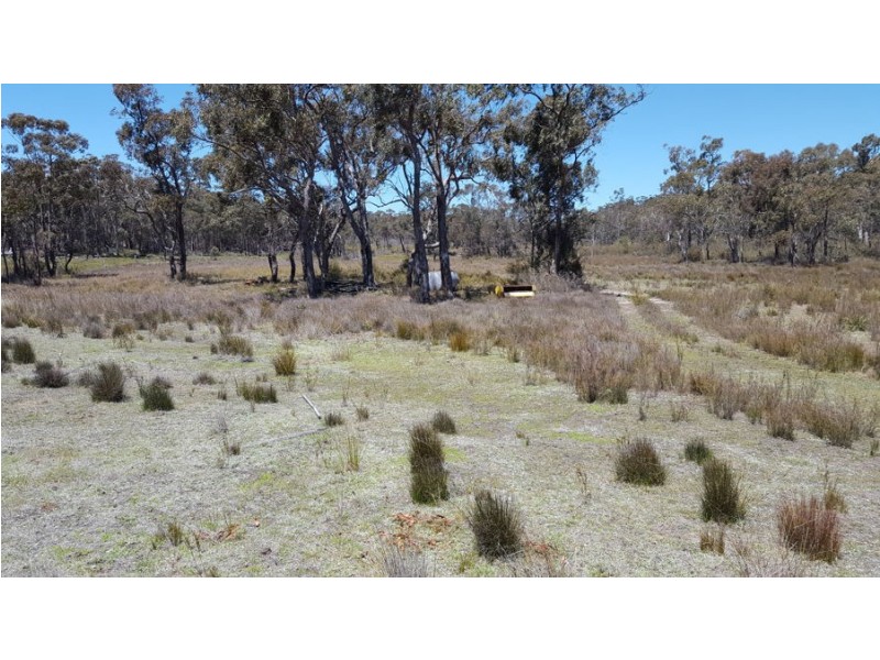 996 Mount Mitchell Road, Backwater NSW 2365