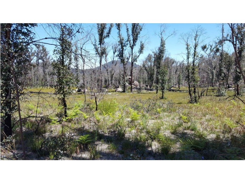 996 Mount Mitchell Road, Backwater NSW 2365