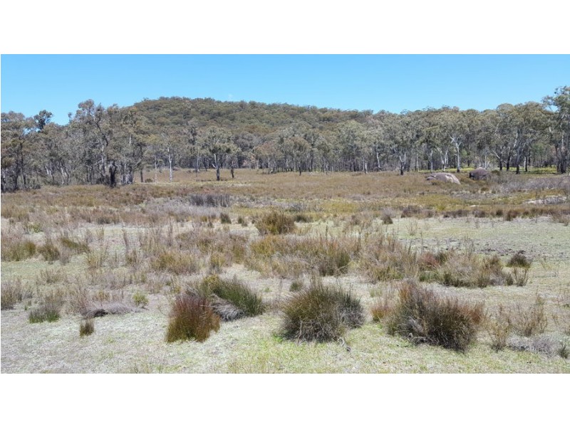 996 Mount Mitchell Road, Backwater NSW 2365