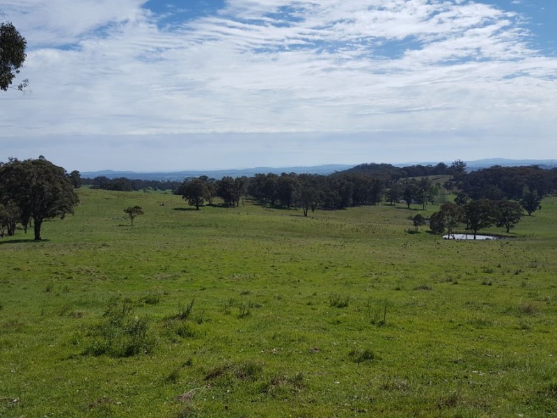 22 Willis Road, Glen Innes NSW 2370