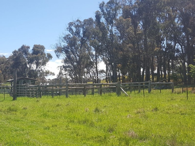 22 Willis Road, Glen Innes NSW 2370