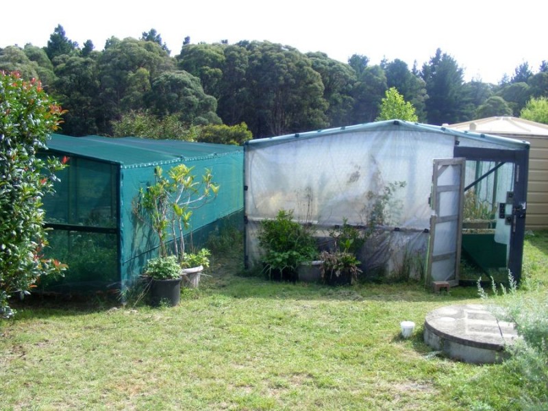 470 Aqua Park Road, Mount Mitchell NSW 2365