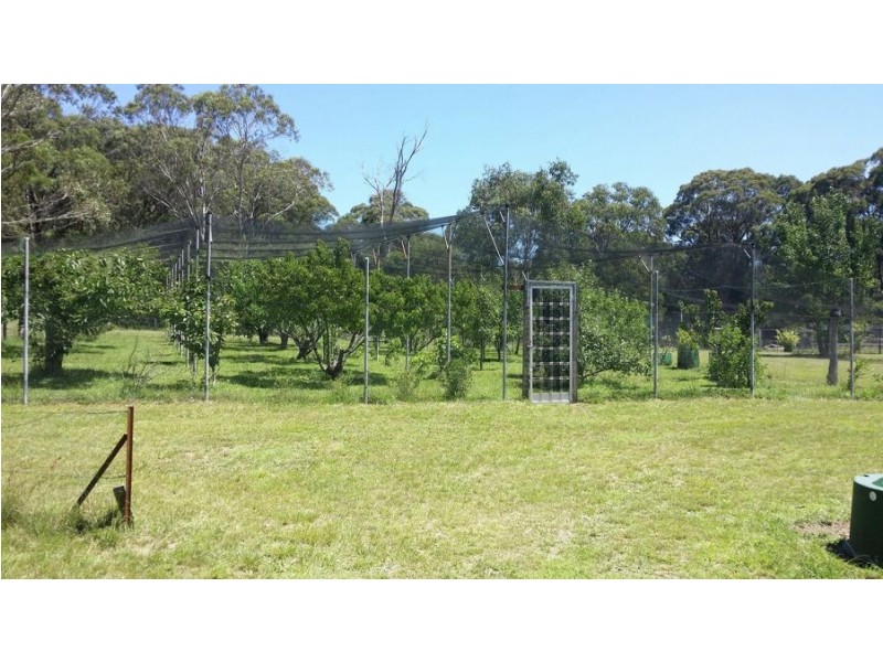 470 Aqua Park Road, Mount Mitchell NSW 2365