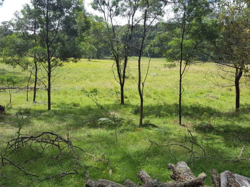 470 Aqua Park Road, Mount Mitchell NSW 2365