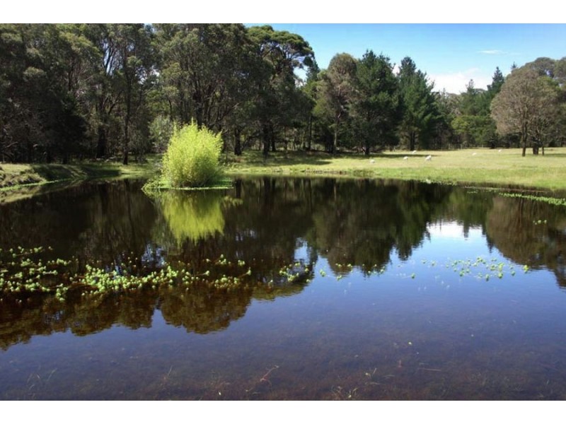 470 Aqua Park Road, Mount Mitchell NSW 2365