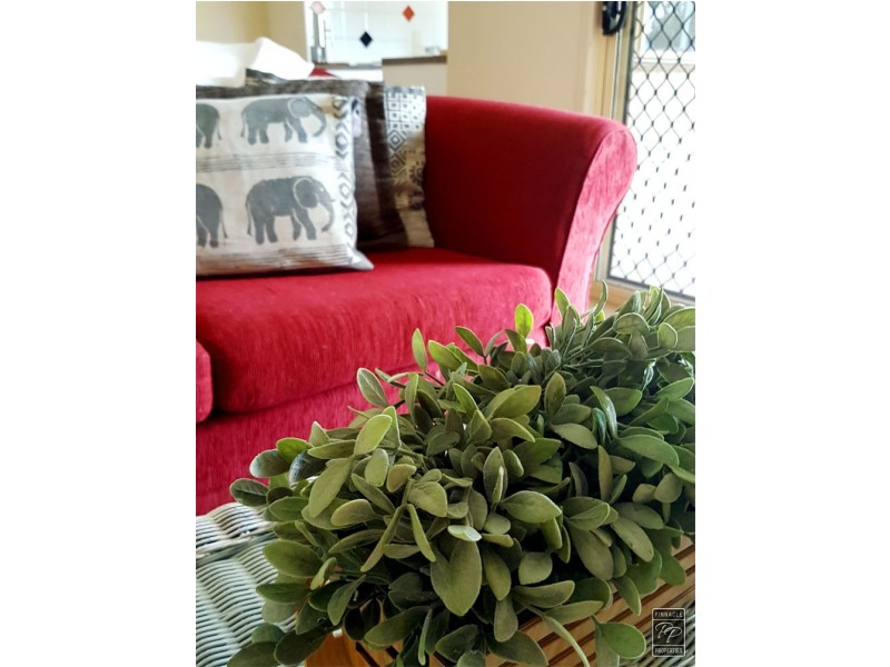 16 Broadway Court, Caboolture QLD 4510