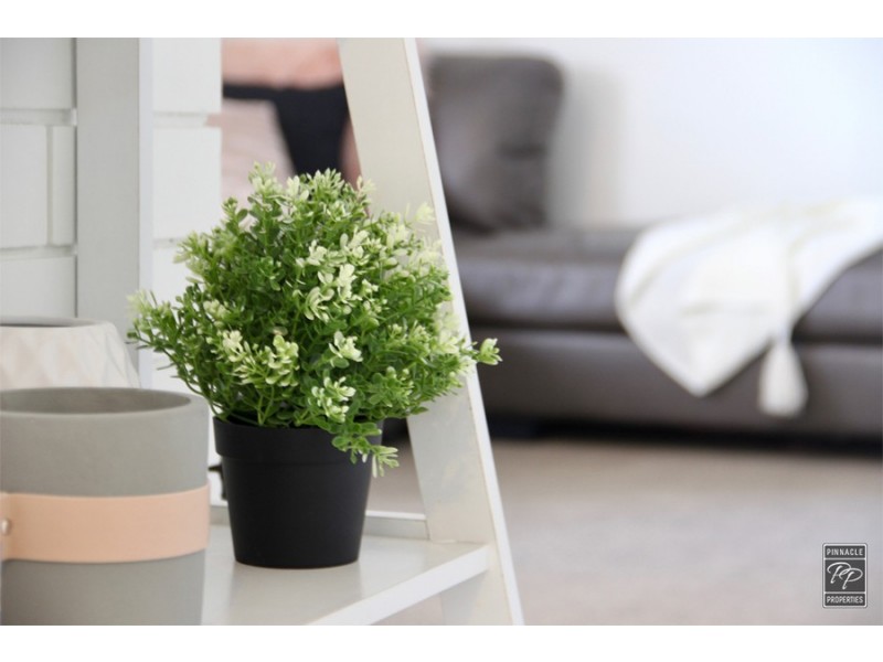 1/39 Waverley Road, Taringa QLD 4068