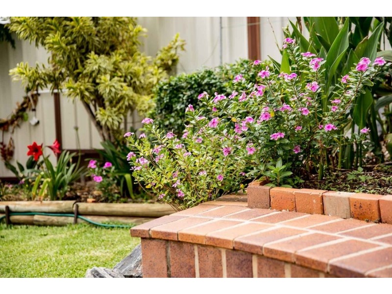 129 Fegen Drive, Moorooka QLD 4105