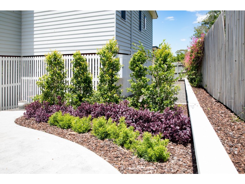 74A Francis Street, North Ipswich QLD 4305