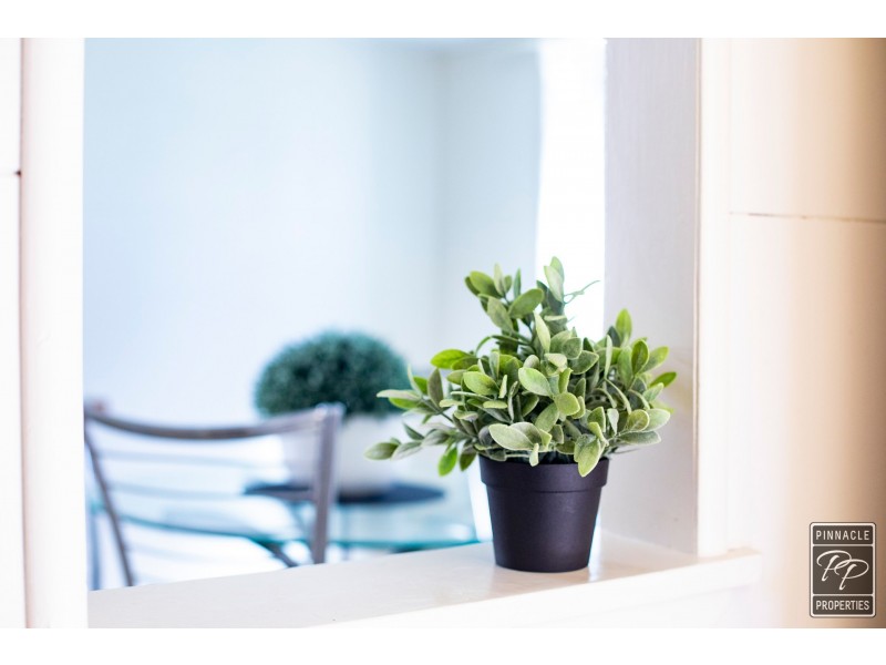 72 Northcote Street, East Brisbane QLD 4169