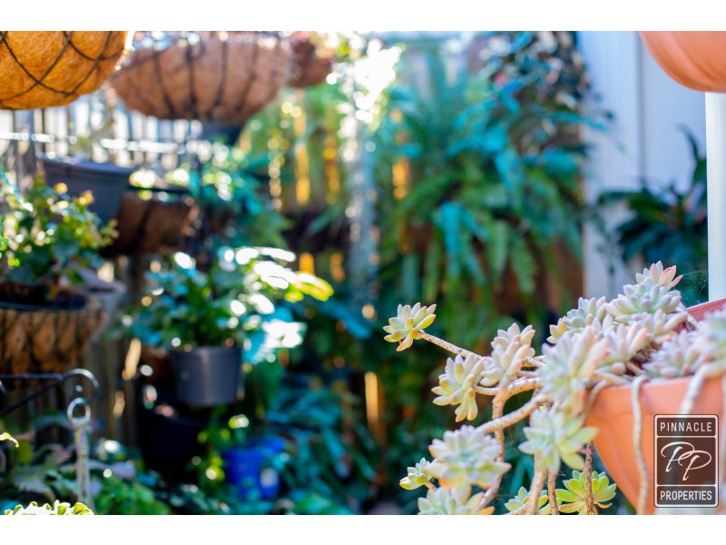 50 Hinchinbrook Avenue, Fitzgibbon QLD 4018