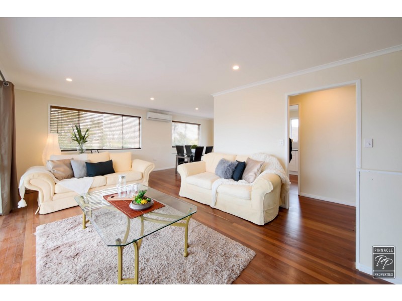 3 Warner Street, Raceview QLD 4305