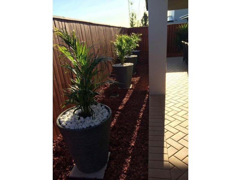 37 Obrist Place, Rochedale QLD 4123