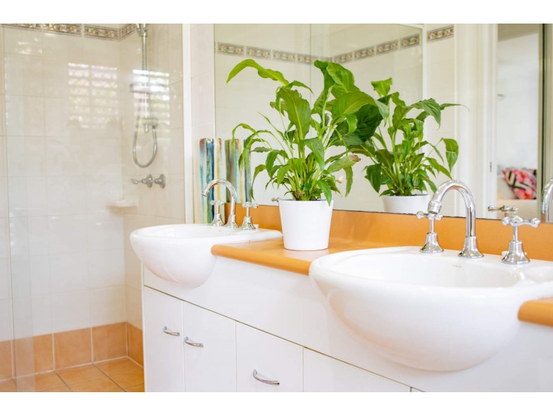 5 Mayfair Place, Moggill QLD 4070