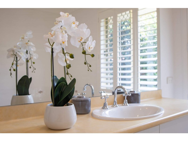 5 Mayfair Place, Moggill QLD 4070