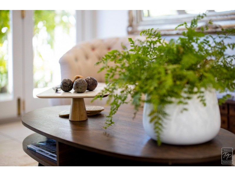 49 Oxford Street, Hamilton QLD 4007