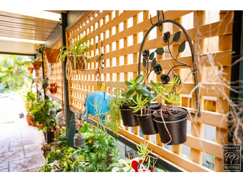 71 Pendula Circuit, Forest Lake QLD 4078