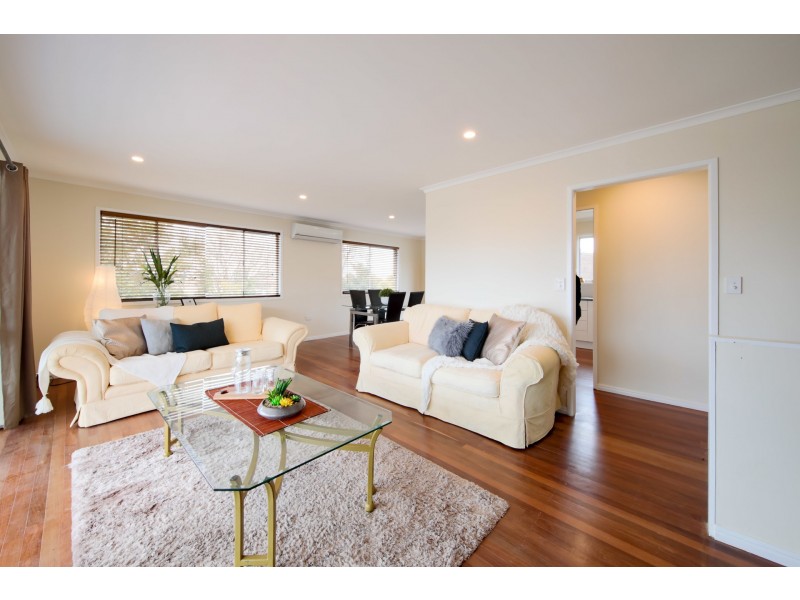 1/3 Warner Street, Raceview QLD 4305