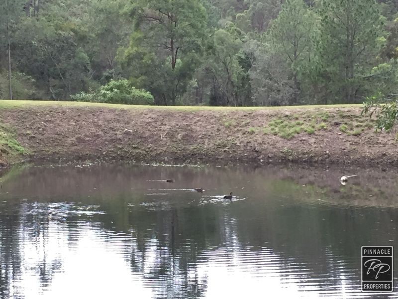 119 Dillon Road, The Gap QLD 4061