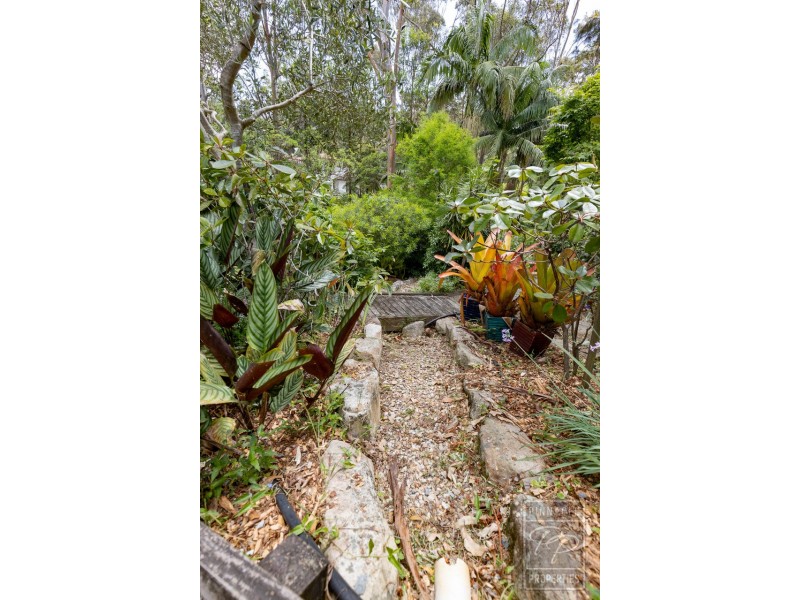 15 Saguaro Court, Tamborine Mountain QLD 4272