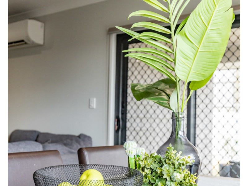 45 Cotton Crescent, Redbank Plains QLD 4301