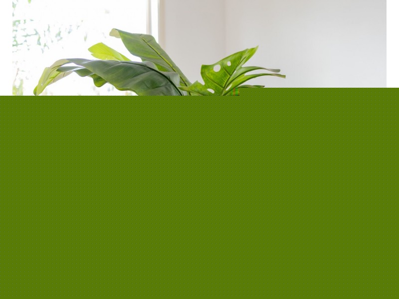 35 Kiriwina Street, Fig Tree Pocket QLD 4069