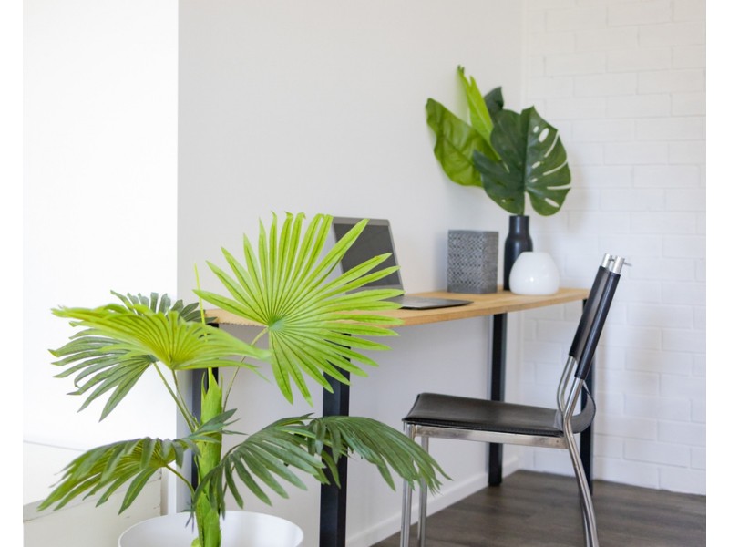 1 Carroo Court, Albany Creek QLD 4035