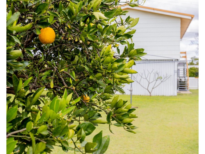 31 Dudleigh Street, North Booval QLD 4304