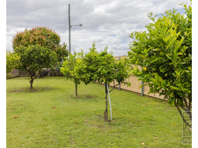 31 Dudleigh Street, North Booval QLD 4304