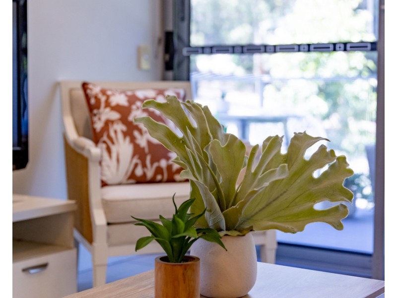 1201/16 Ramsgate Street, Kelvin Grove QLD 4059