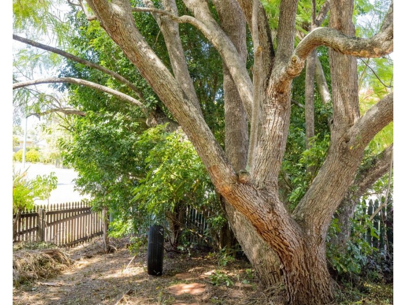 1204 Oakey Flat Road, Narangba QLD 4504