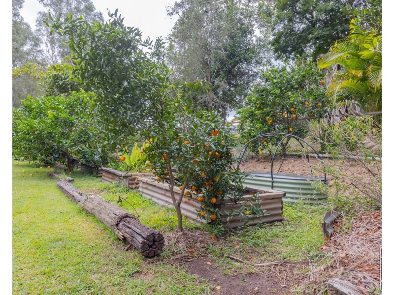 99 Weekes Road, Moggill QLD 4070