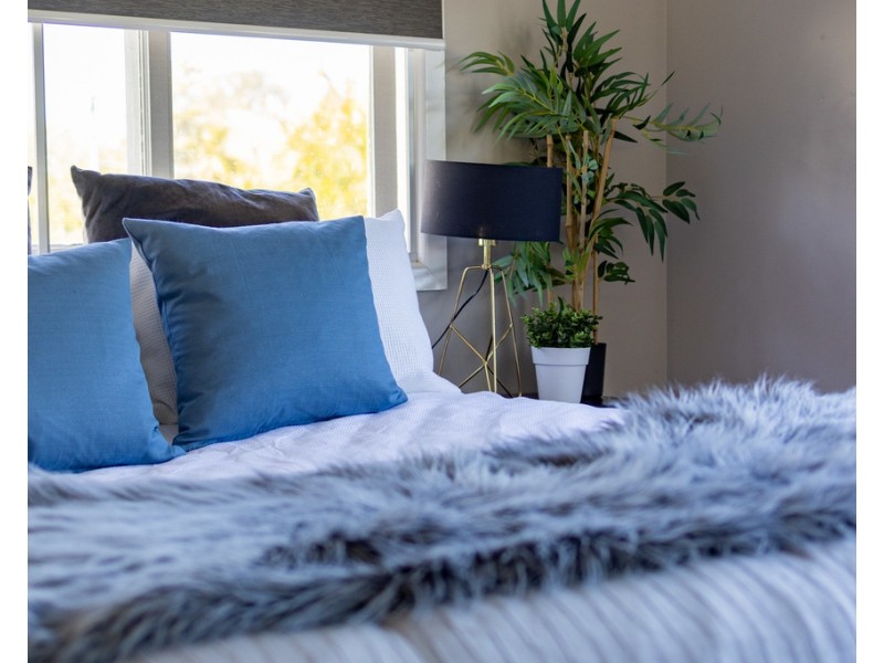 6 Oberon Street, Morningside QLD 4170