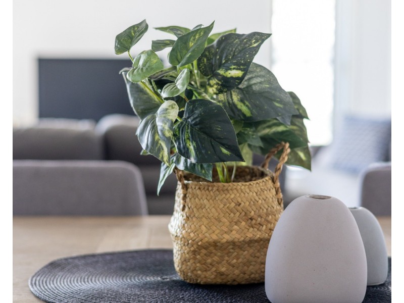 11 Fun Close, Bridgeman Downs QLD 4035