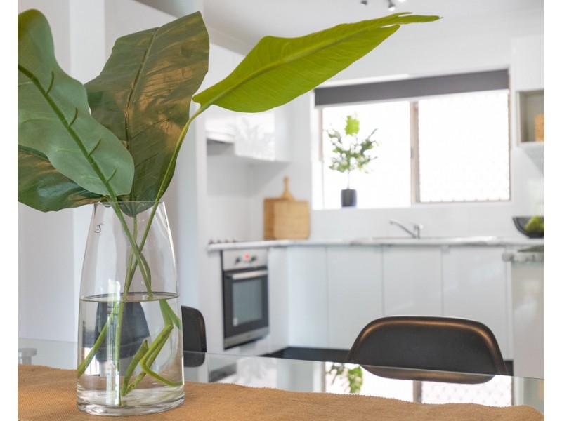 3/88 Glenalva Terrace, Enoggera QLD 4051