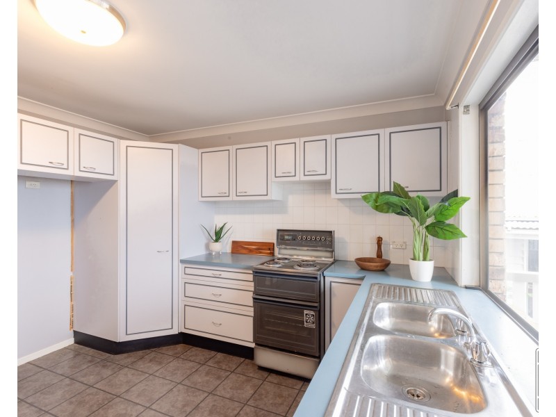 52 Nicholson Street, Greenslopes QLD 4120