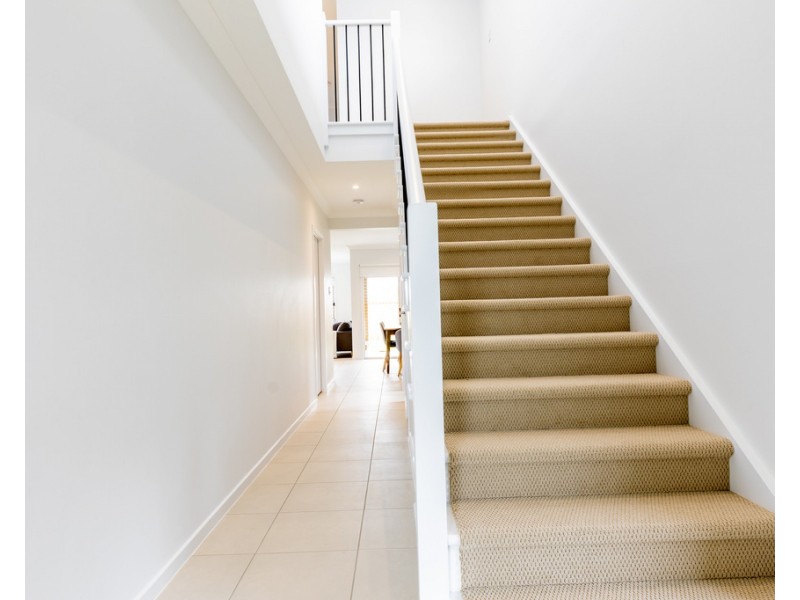 10 Serendipity Street, Morayfield QLD 4506