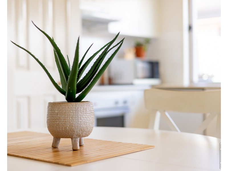 36/391 Belmont Road, Belmont QLD 4153