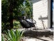 26 Cromarty Street, Kenmore QLD 4069