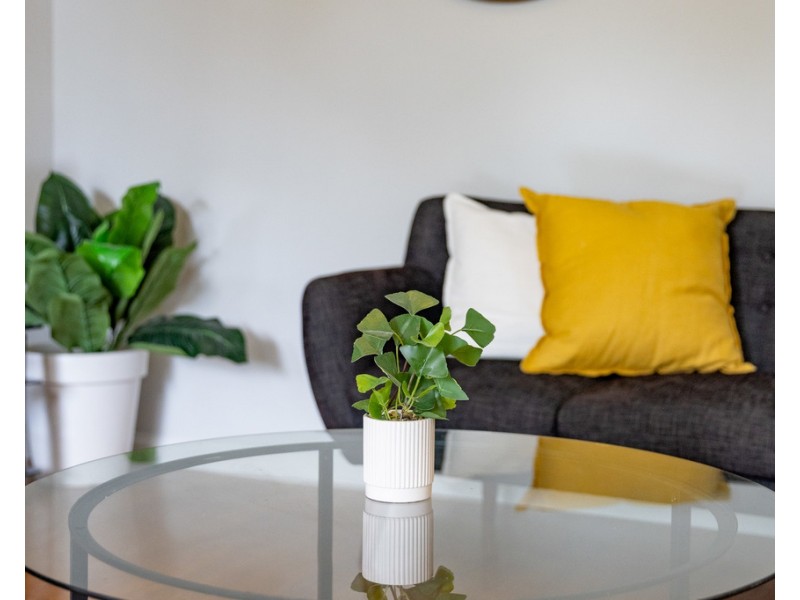 65 Cedar Street, Greenslopes QLD 4120