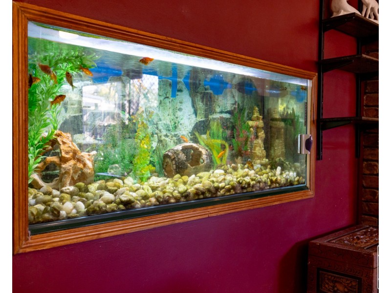 7 Magnolia Street, Daisy Hill QLD 4127