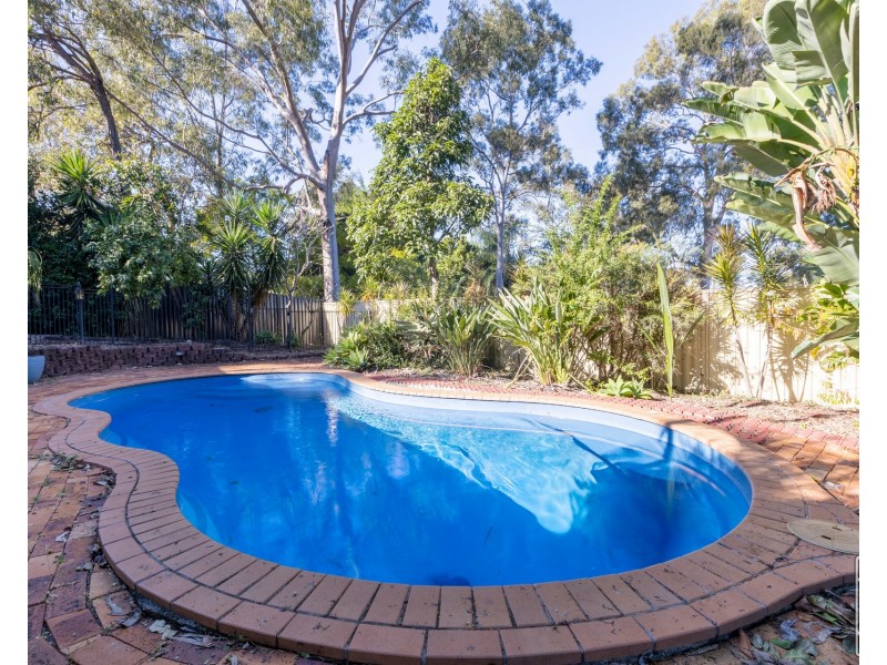 37 Bundoora Drive, Karana Downs QLD 4306