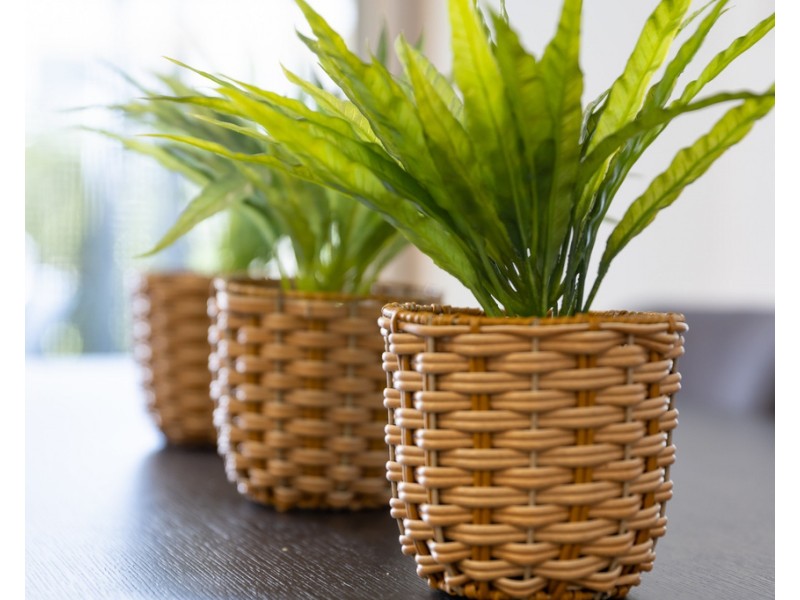 12 Panorama Street, Richlands QLD 4077